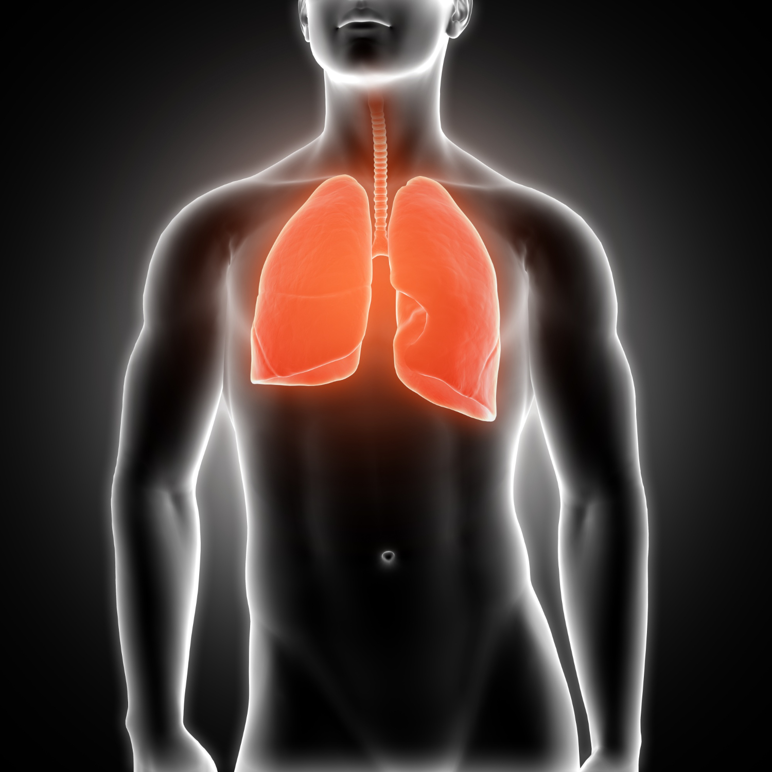 Cómo despejar las vías respiratorias con remedios caseros Existe alguna solución casera para destapar los oídos